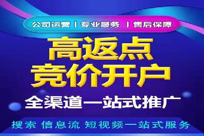百度推广收费策略：案例分析及优化建议