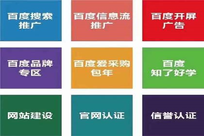 某大型企业选择SEM竞价代运营公司的决策过程与效果评估